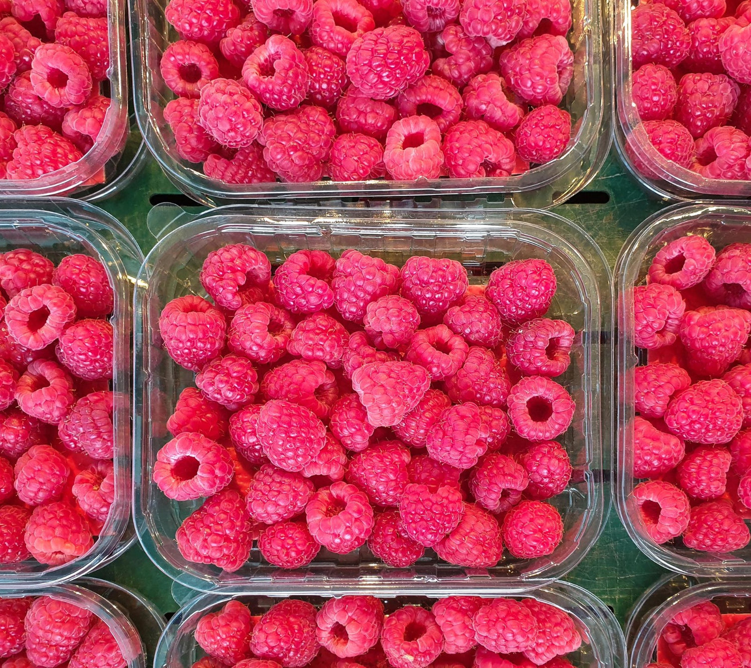 1Kg of Raspberry