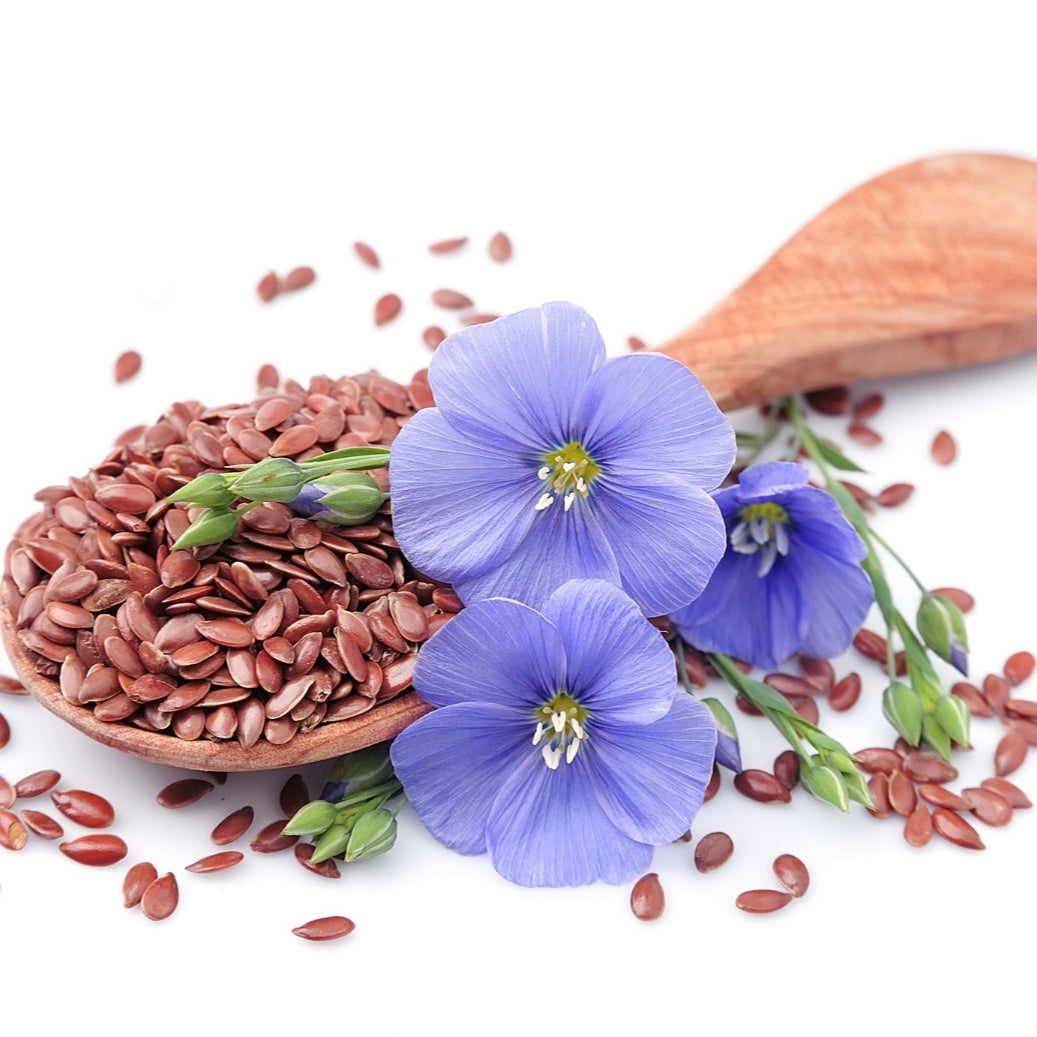 Flaxseeds and flowers on a white background with a wooden spoon.